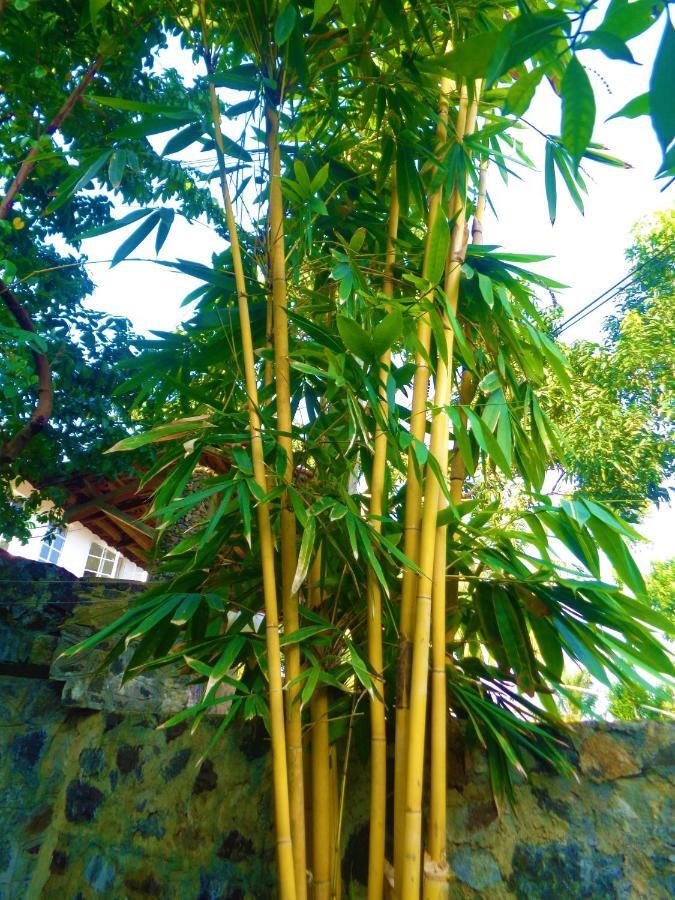 فندق De Fancy House أونا واتونا المظهر الخارجي الصورة